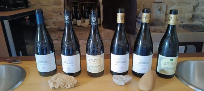 Marseille or Aix: Private Cote De Provence Wine Tasting Trip - Customer Testimonials