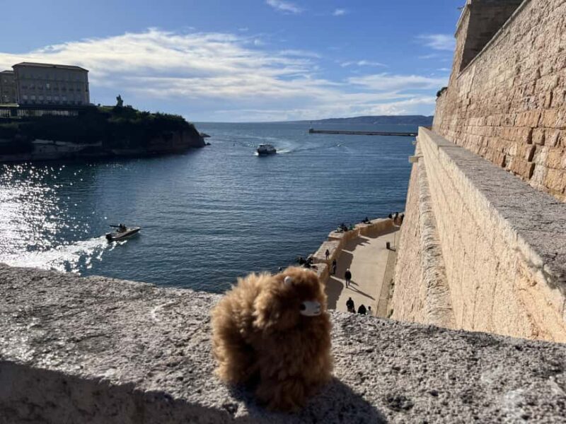 Marseille: Private Customised Walking 2-Hour Tour - Exploring the Marseille Highlights