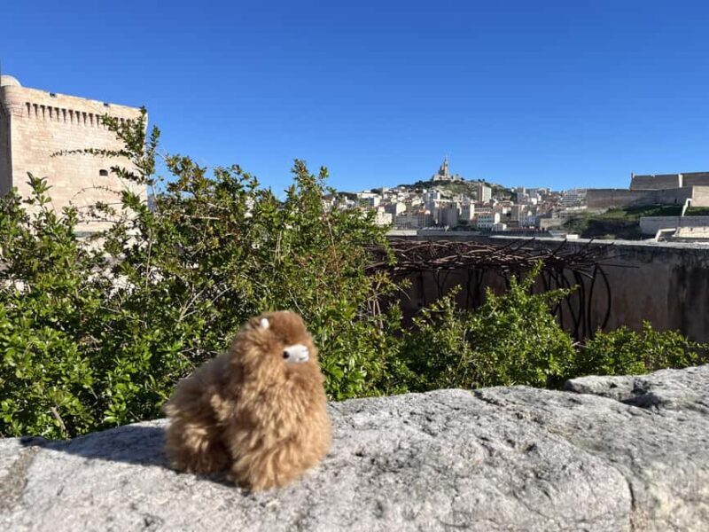 Marseille: Private Customised Walking 2-Hour Tour - Authentic Experiences and Practical Tips