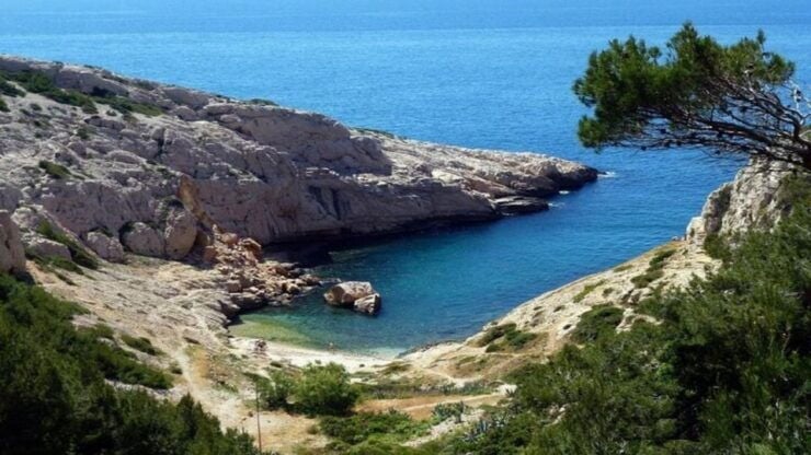 Marseille : Private Street Art Tour - Tour Details