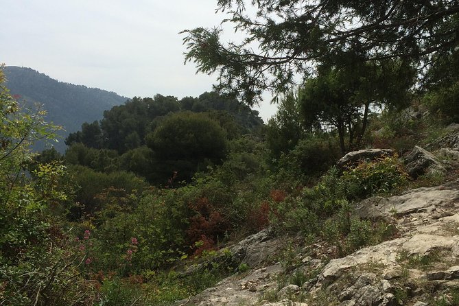 MARSEILLE Shore Excursion Full Day Private Tour: Taste of Provence - Common Questions