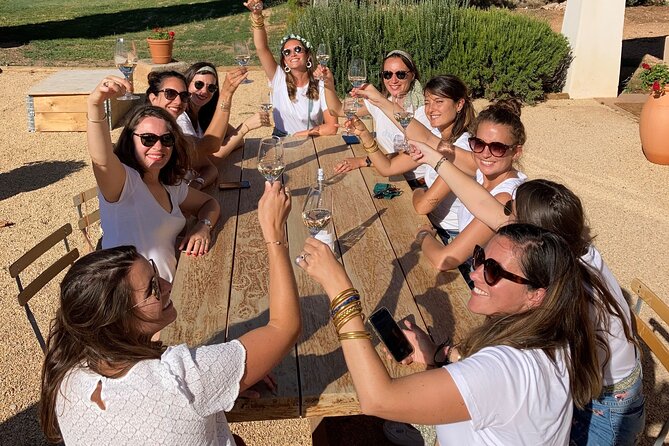 Marseille Shore Excursion - Private Full Day Wine Tour in Provence - What To Expect