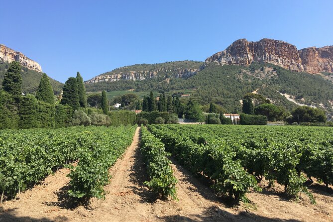 Marseille Shore Excursion - Private Full Day Wine Tour in Provence - Tips and Restrictions