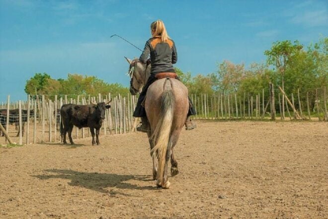 Marseille: The Camargue 8-Hour Guided Outing - Enjoying Diverse Landscapes