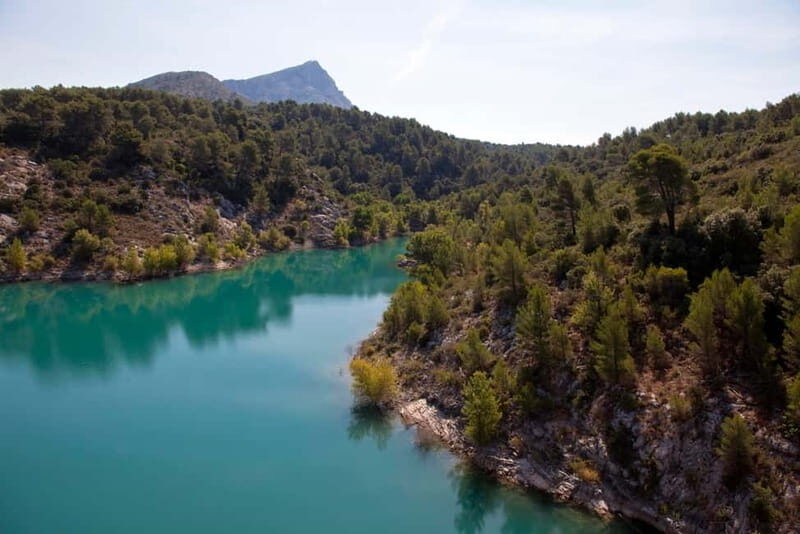 Marseille Vieux Port & Wine Tasting - Private Tour - Off the Beaten Path: Optional Extras