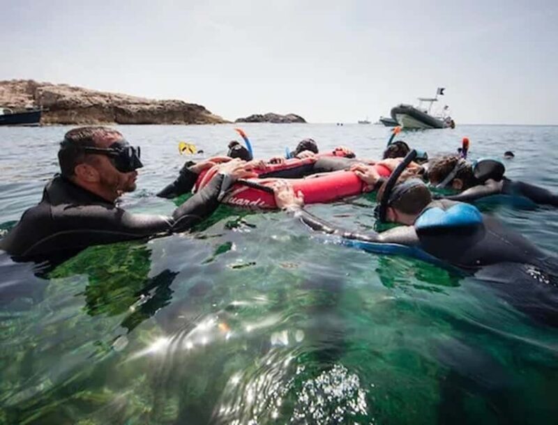 Marseille: visit the National Park on a snorkeling trip - Diving into the Experience: What to Expect