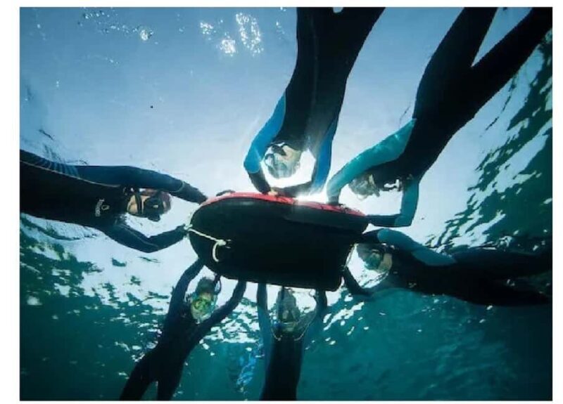 Marseille: visit the National Park on a snorkeling trip - What Makes It a Great Value