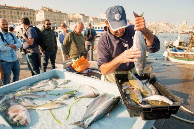 Marseille: Walking Food Tour With Tastings - Tour Details