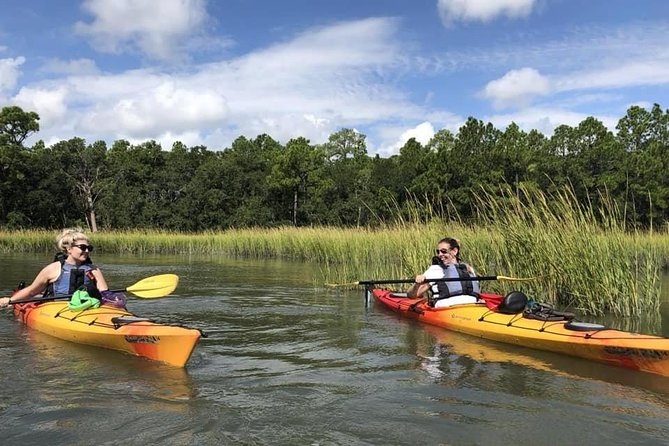Marsh Kayaking Eco-Tour in Charleston via Small Group - Dolphin Sightings