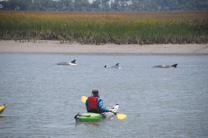 Marsh Kayaking Eco-Tour in Charleston via Small Group - Enjoyable Experience