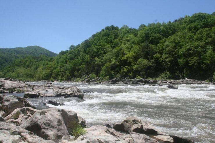 Marshall: French Broad Whitewater River Rafting Experience - Experience Highlights