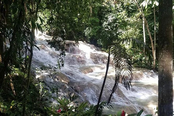 Martha Brae and Dunn's River Falls Tour - Pricing and Booking Information