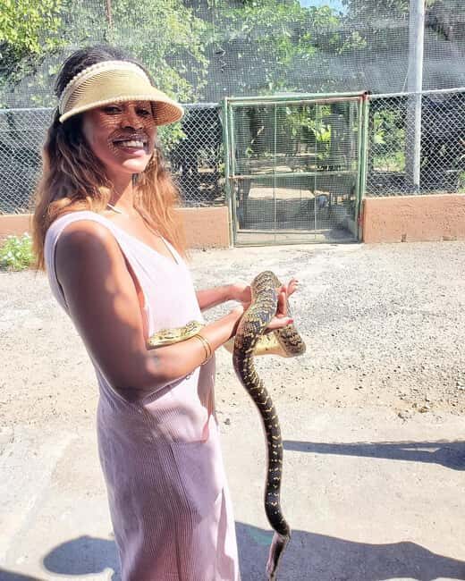 Martha Brae River Bamboo Rafting and Swamp Safari Day Tour - Good To Know
