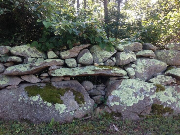 Martha's Vineyard: 6 Town Island Group Tour - Booking Information