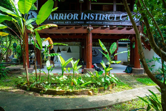 Martial Arts Jungle Experience - Unleash Your Spirit - Unleash Your Spirit Through Martial Arts