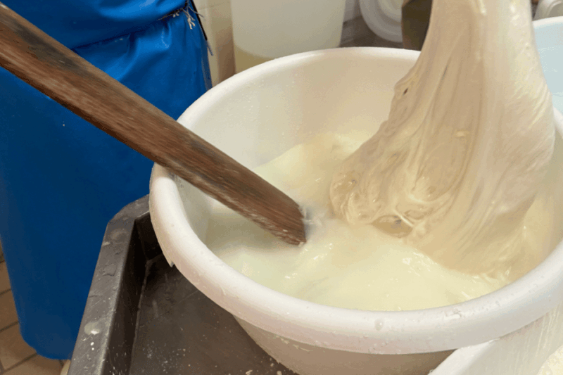 Martina Franca: Mozzarella and Pasta Workshop with Farm Tour - Good To Know