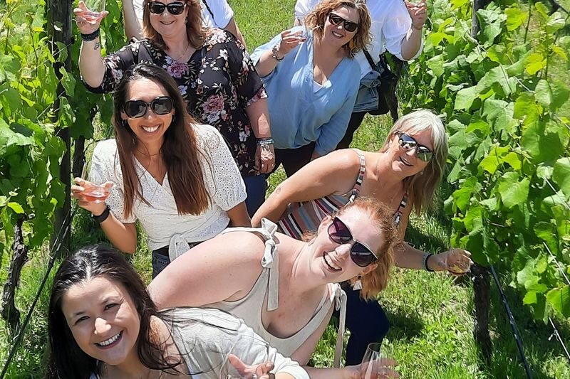 Martinborough Half Day Winery Tour - The drive over the Remutaka Ranges sets the tone