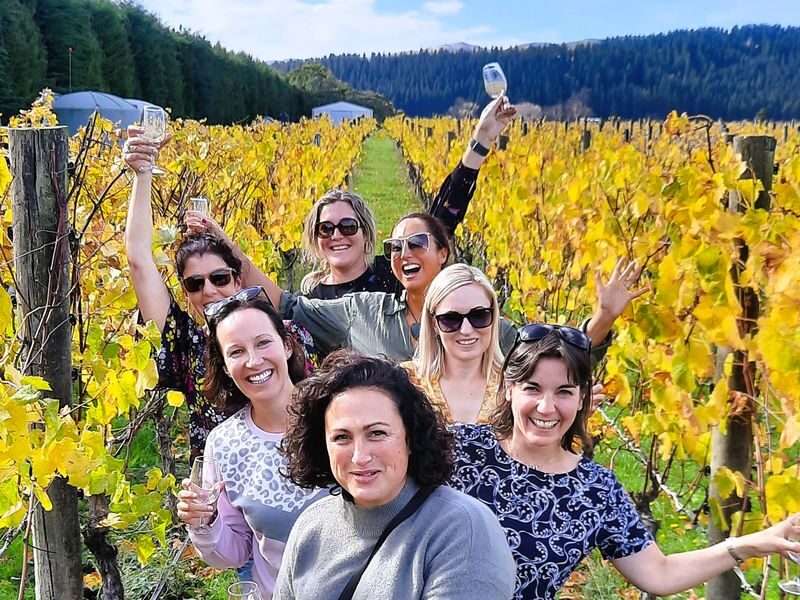 Martinborough Half Day Winery Tour - Cest Cheese adds a local taste