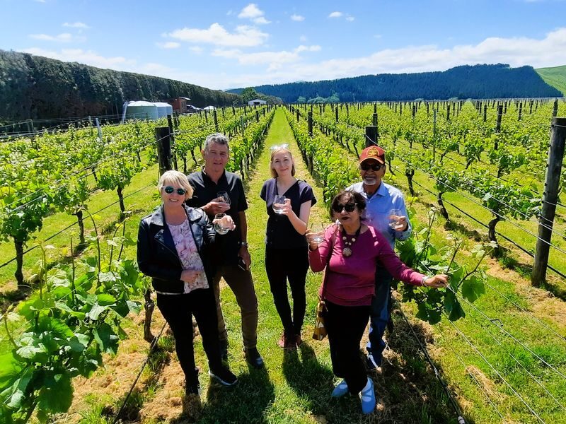 Martinborough Half Day Winery Tour - What the pace and group size mean for you