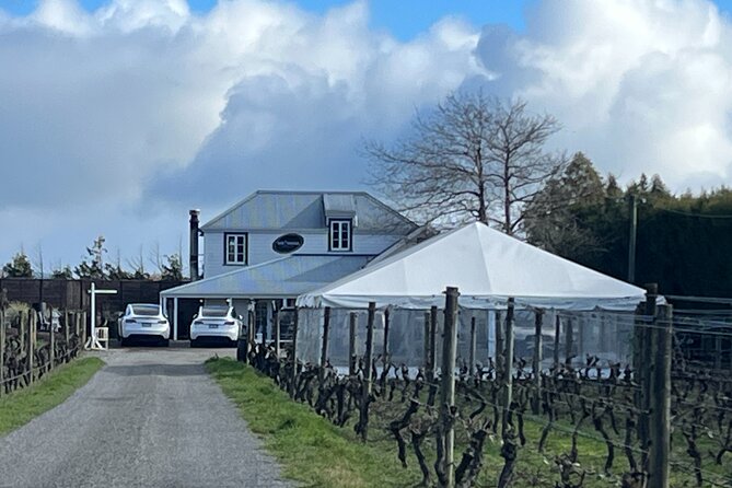 Martinborough High Tea and Wine Tour in Tesla SUVs - Martinborough Wine Tasting