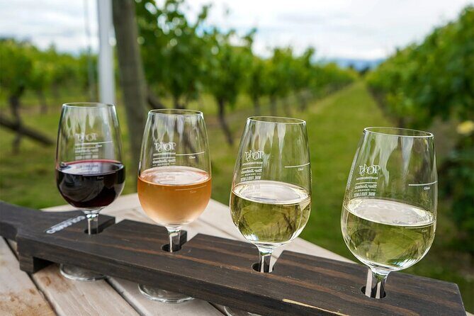 Martinborough Region Day Trip including beverage sampling - Vineyard Visits: Tasting the Best of Martinborough