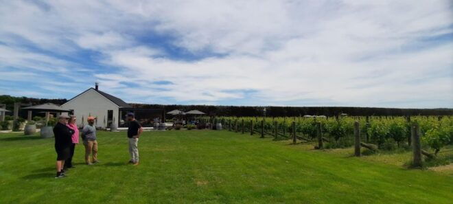 Martinborough Wine and Food Tour With Lunch From Wellington - Wine Tasting in Martinborough