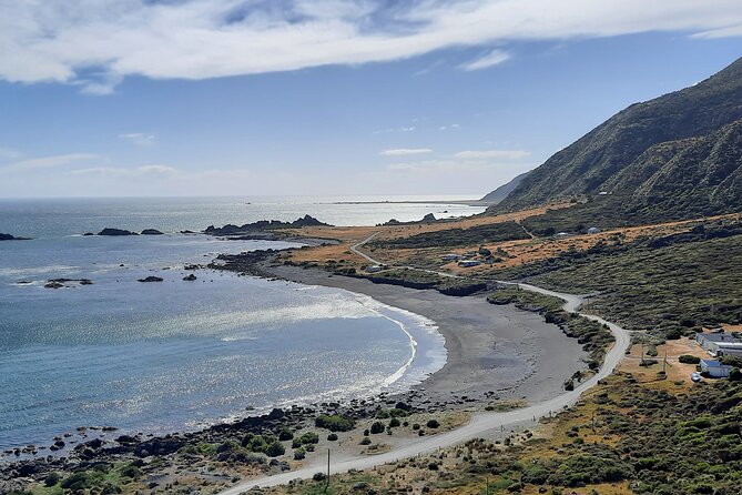 Martinborough Wine and Wild Coast Tour From Wellington - Customer Testimonials