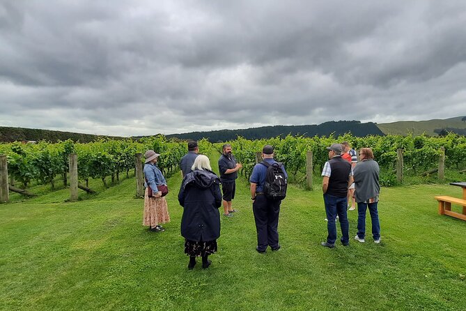 Martinborough Wine and Wild Coast Tour From Wellington - Positive Feedback