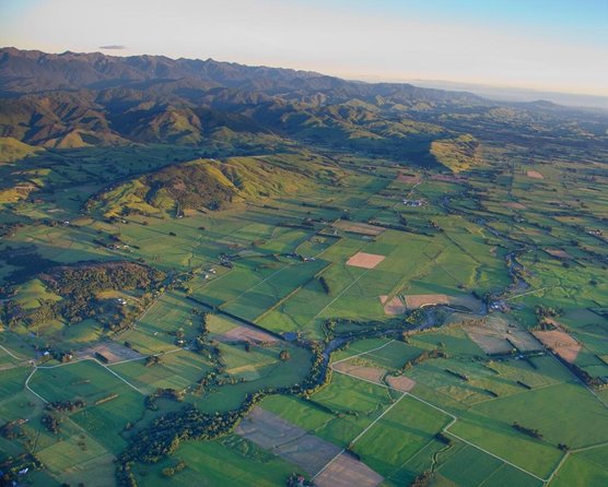 Martinborough Wine and Wild Coast Tour From Wellington - Memorable Experiences