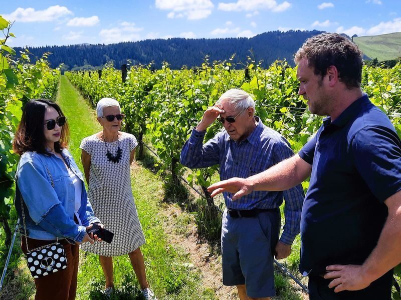 Martinborough Winery and Foodie Day Tour - Over the Remutaka Ranges and into Wairarapa