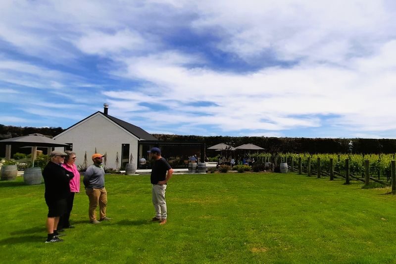 Martinborough Winery and Foodie Day Tour - Juno Olives offers a change of pace