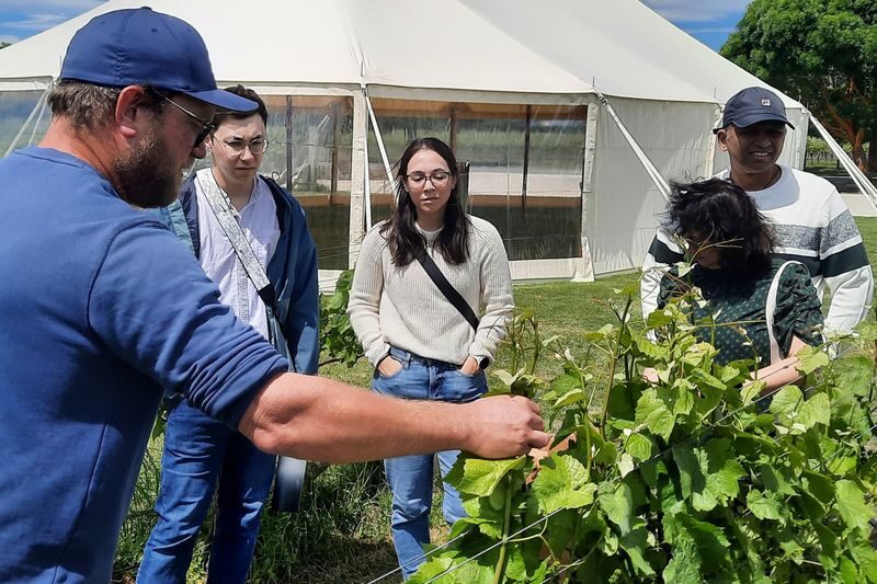Martinborough Winery and Foodie Day Tour - What the price covers, and how to judge the value
