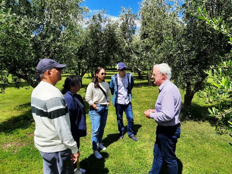 Martinborough Winery and Foodie Day Tour - Should you book the Martinborough Winery and Foodie Day Tour?