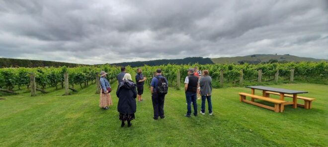 Martinborough Winery and South Wairarapa Wild Coast Tour - Inclusions