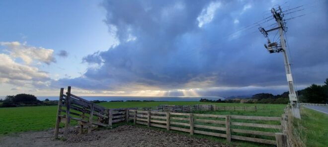 Martinborough Winery and South Wairarapa Wild Coast Tour - Related Options
