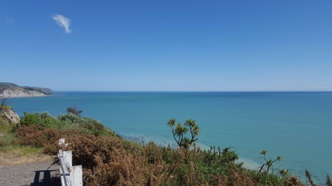 Martinborough Winery and South Wairarapa Wild Coast Tour - Customer Reviews