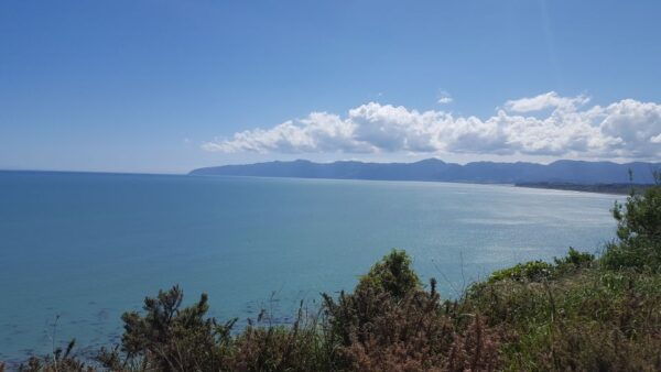 Martinborough Winery and South Wairarapa Wild Coast Tour - Scenic Drive Over Remutaka Ranges