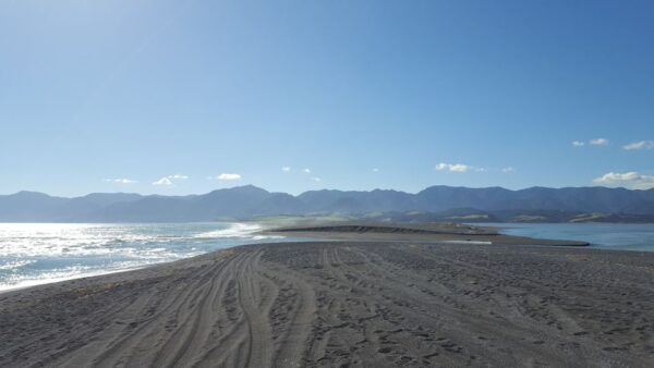 Martinborough Winery and South Wairarapa Wild Coast Tour - Common Questions