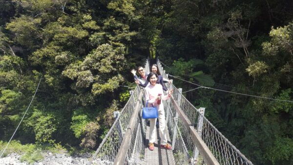 Martinborough Winery and South Wairarapa Wild Coast Tour - The Sum Up