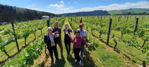 Martinborough Winery Tour - Common Questions