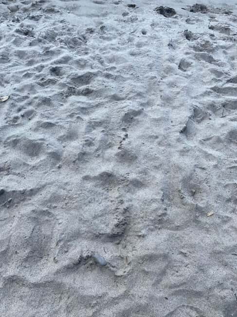 Martinique: Private Tour with Local Guide - An In-Depth Look at the Tour