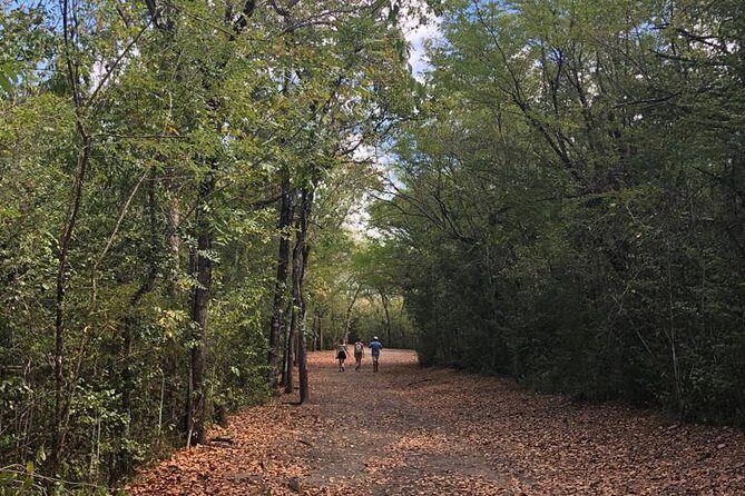 Martinique South Island Private Tour - FAQ