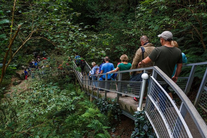 Martvili Canyon & Prometheus Cave Group Tour From Tbilisi - Tips for the Tour