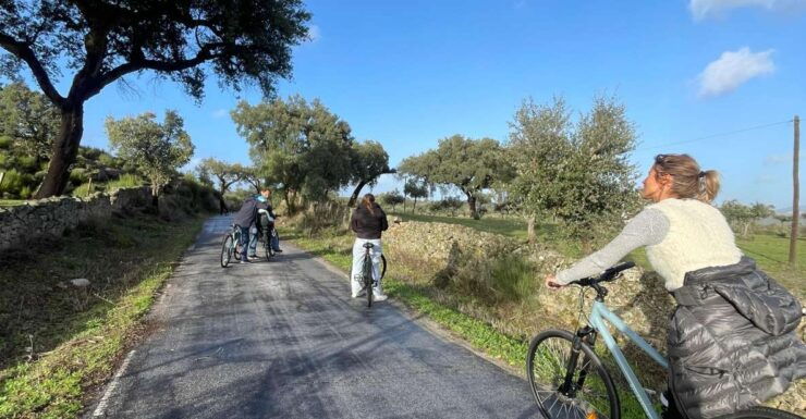 Marvão: Bike Tours in Nature - Tour Details