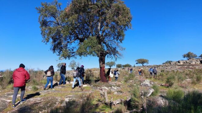 Marvão: Megalithic Monuments Private Tour With Hotel Pickup - Full Description