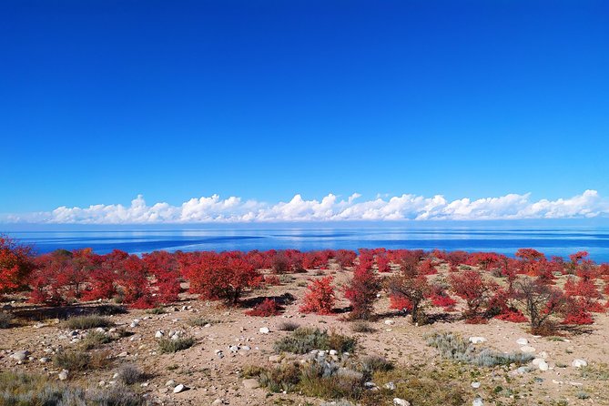 Marvellous 3 Days Around Issyk-Kul Lake - Good To Know
