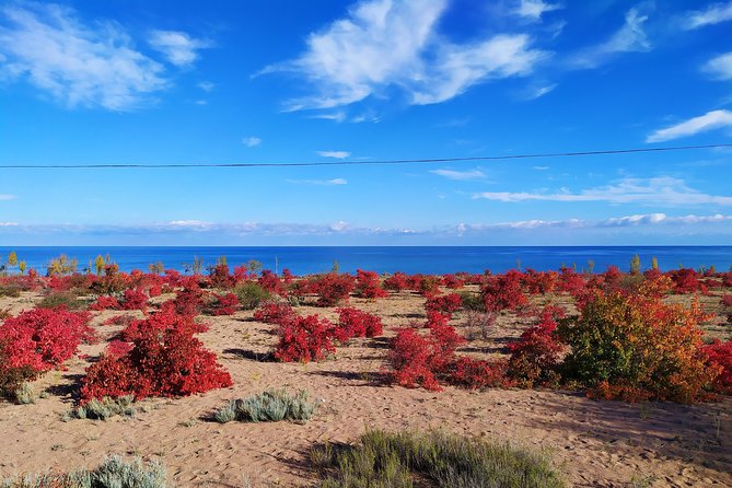 Marvellous 3 Days Around Issyk-Kul Lake - Itinerary Overview