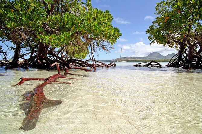 Marvelous Ile Aux Cerf Island: Speed Boat, Parasailing, Lunch & GRSE Waterfall - Good To Know