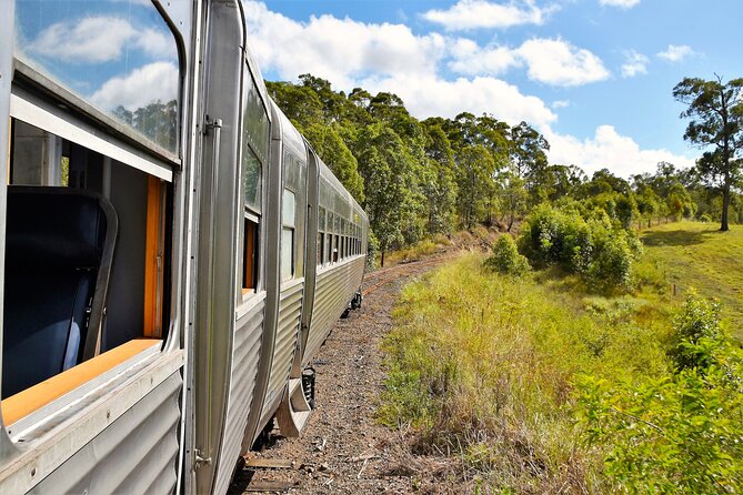 Mary Valley Rattler: The Rattler Tasting Train - Overview and Experience