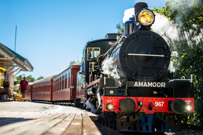 Mary Valley Rattler Train Experience from Gympie - Food, picnic plans and café choices
